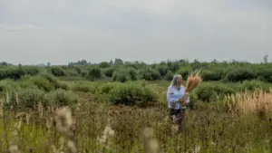 Žilaplaukė moteris šviesiais marškiniais laiko sausų žolių puokštę atvirame rudeniškame lauke.