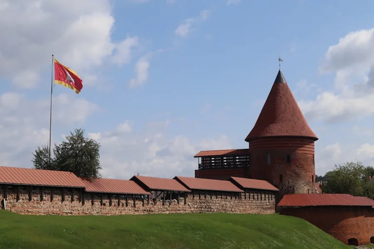 Laisvės dieną premjeras priminė Lietuvos pareigą