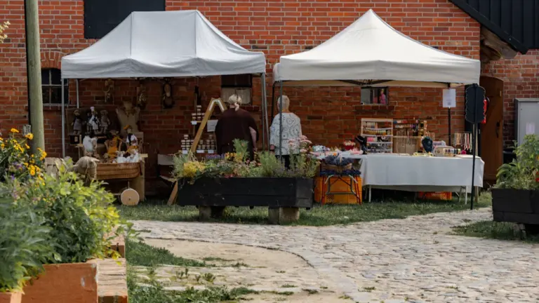 Rugpjūčio 24-osios orai: kaip planuoti savaitgalio renginius