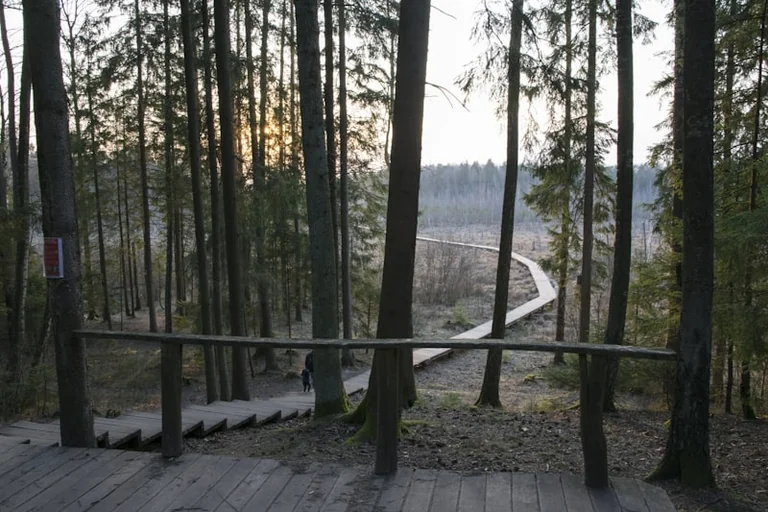 Savaitgalis Lietuvoje: gamtos planas rugpjūčio 29–30 d