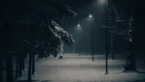 Snieguotas vakaro parkas Vilniuje su apšviestais takais ir medžiais žiemą