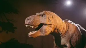 Didelio dinozauro maketas su atvira burna kino teatro patalpose arba parodoje.
