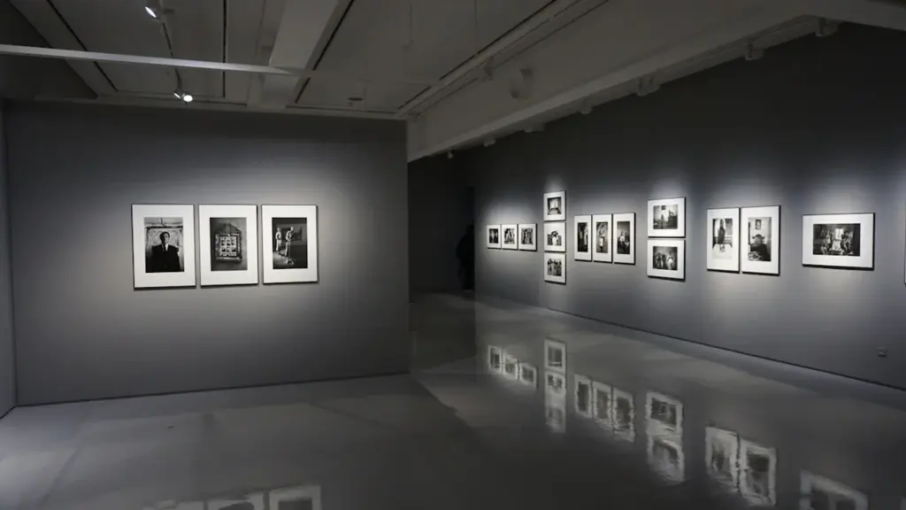 Šiuolaikinio meno galerijos erdvė su eksponuojamais paveikslais ir moderniu apšvietimu „Litexpo“ parodų centre.