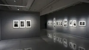 Šiuolaikinio meno galerijos erdvė su eksponuojamais paveikslais ir moderniu apšvietimu „Litexpo“ parodų centre.