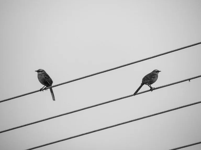Elektros kainų šuolis Lietuvoje: ką svarbu žinoti vartotojams