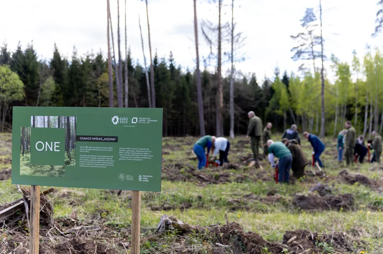 Lietuvos projektai pasiekė finalą: nuo miško iki Vilniaus festivalio
